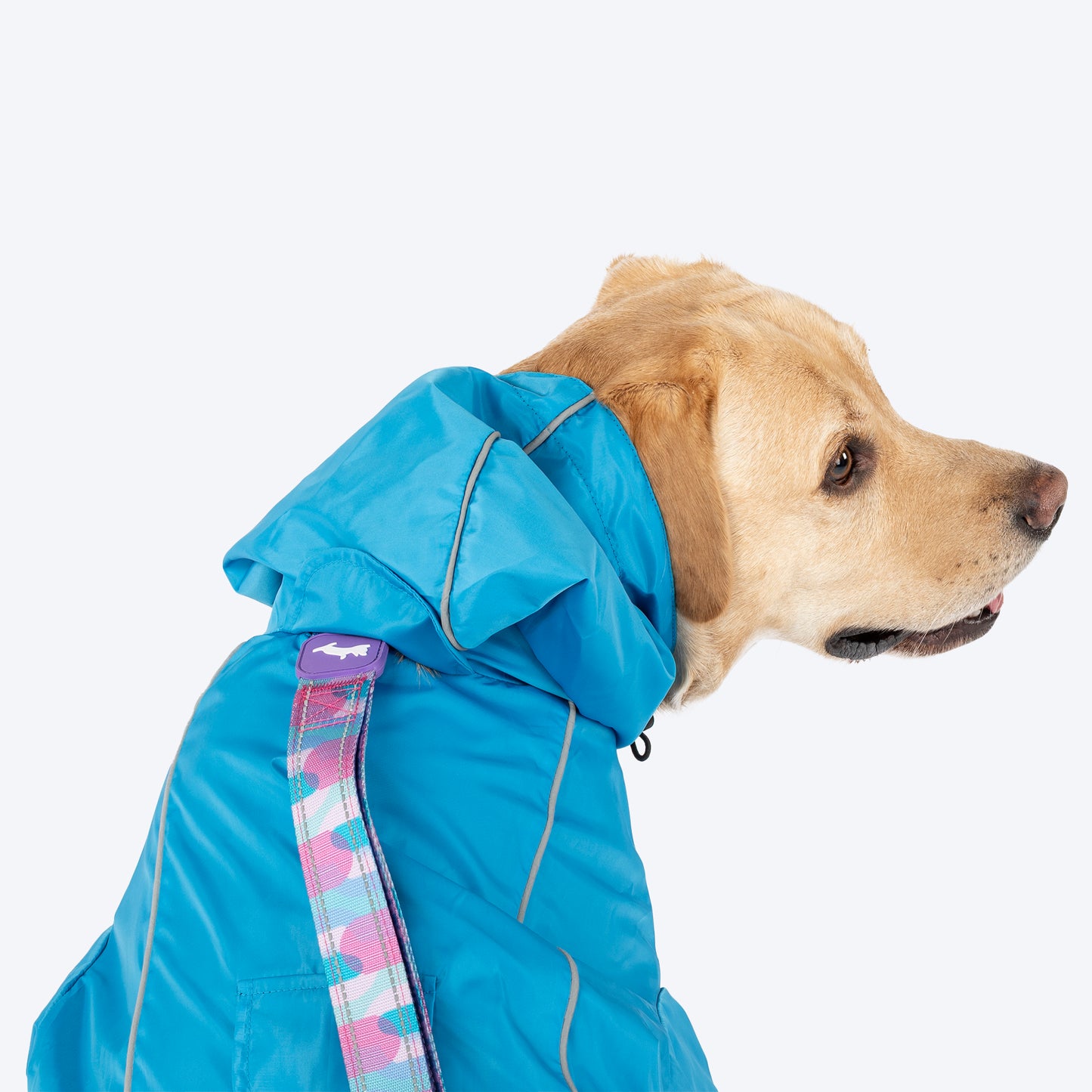 Dash Dog Puddle Jumper Full Coverage Raincoat For Dog - Electric Blue - Heads Up For Tails