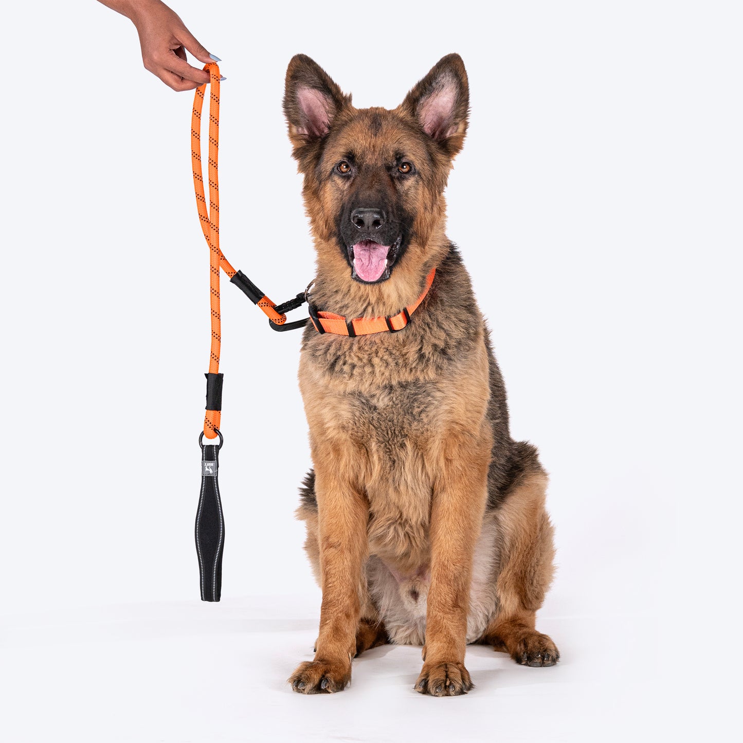 HUFT Rope Leash With Carabiner For Dog - Orange - 1.2 m - Heads Up For Tails