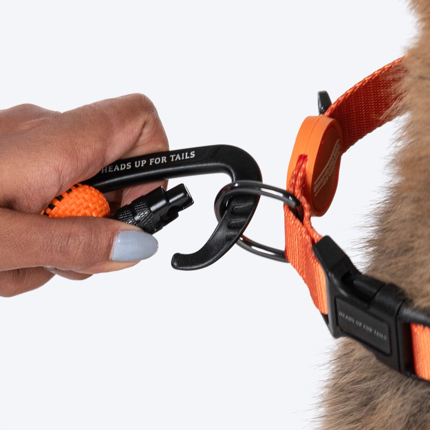 HUFT Rope Leash With Carabiner For Dog - Orange - 1.2 m - Heads Up For Tails