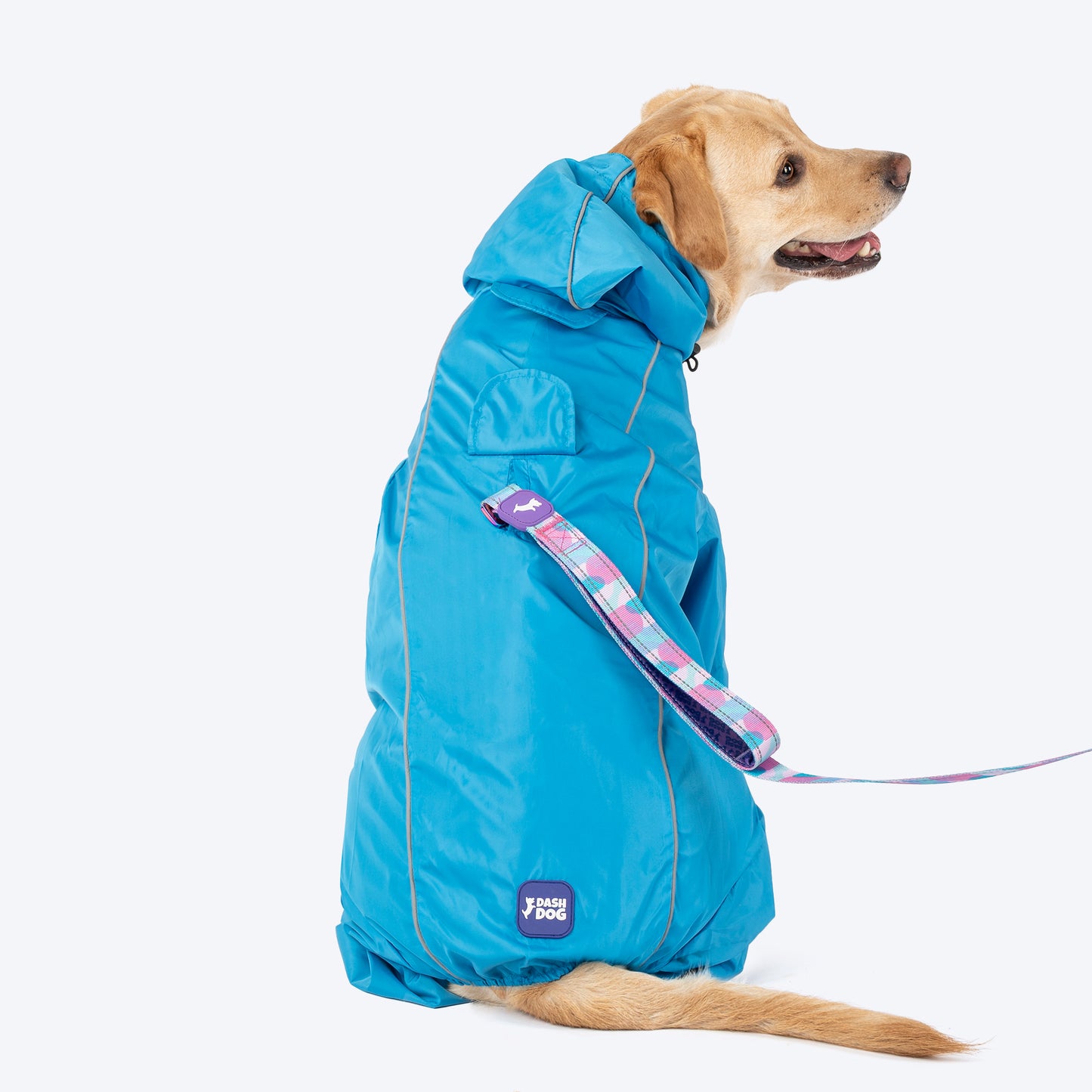 Dash Dog Puddle Jumper Full Coverage Raincoat For Dog - Electric Blue - Heads Up For Tails