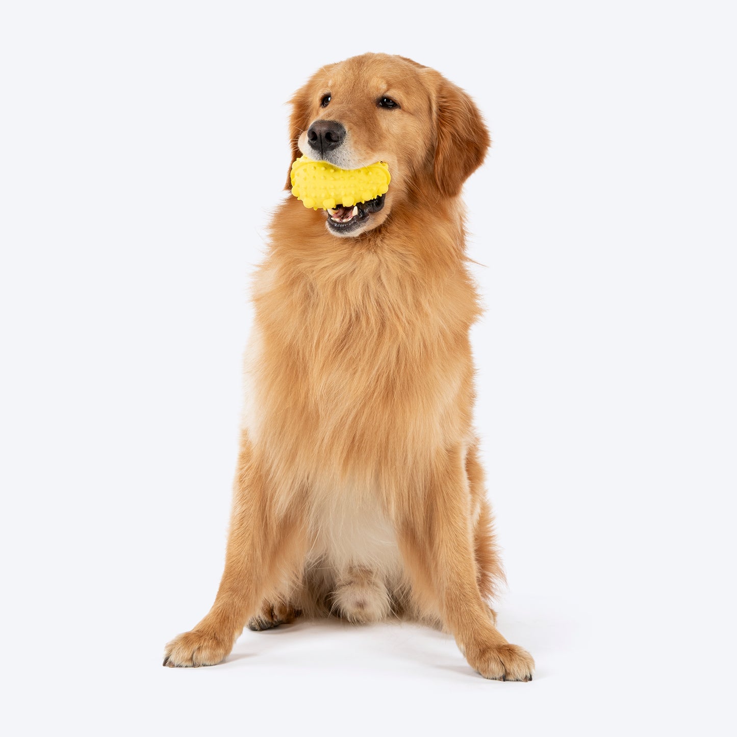 Dash Dog Mello-Yello Peanut Toy For Dog - Yellow - Heads Up For Tails
