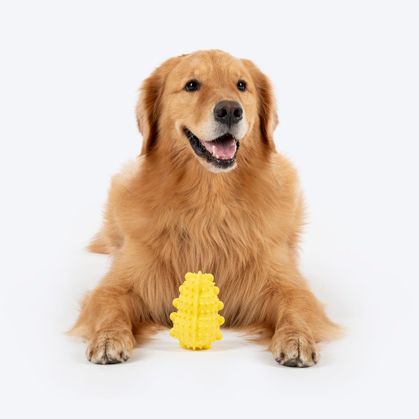 Dash Dog Mello-Yello Peanut Toy For Dog - Yellow - Heads Up For Tails