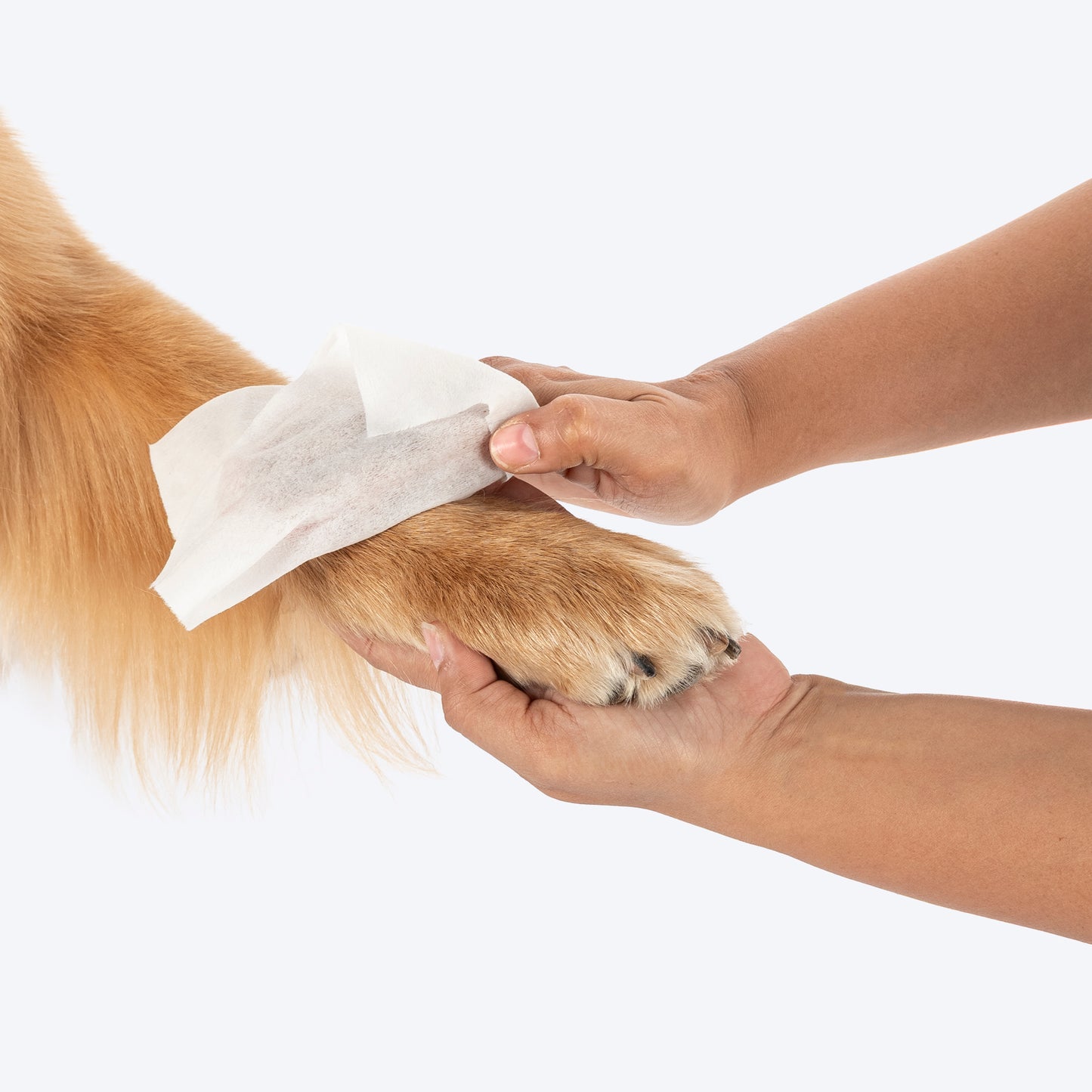 HUFT Biodegradable Pet Wipes - Heads Up For Tails