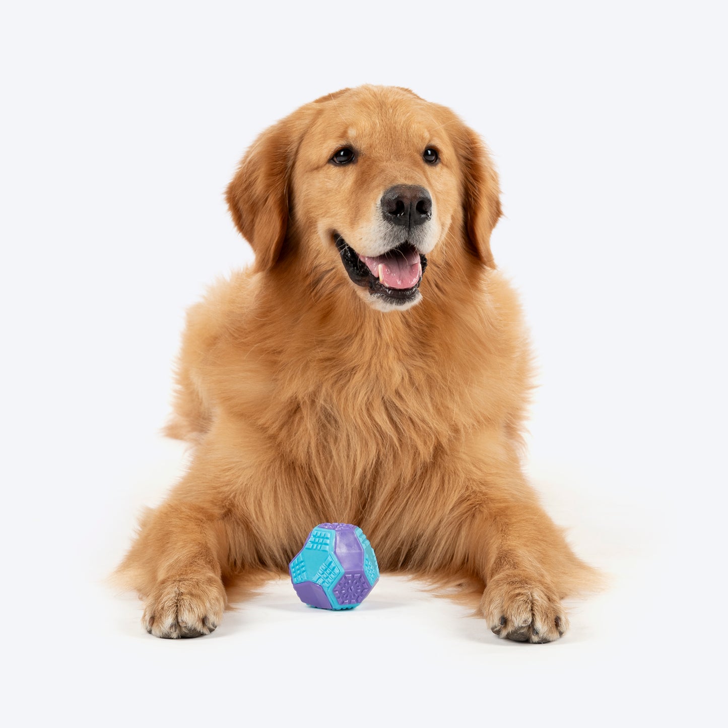 Dash Dog Grip & Go Squeaky Ball For Dog - Purple & Blue - Heads Up For Tails