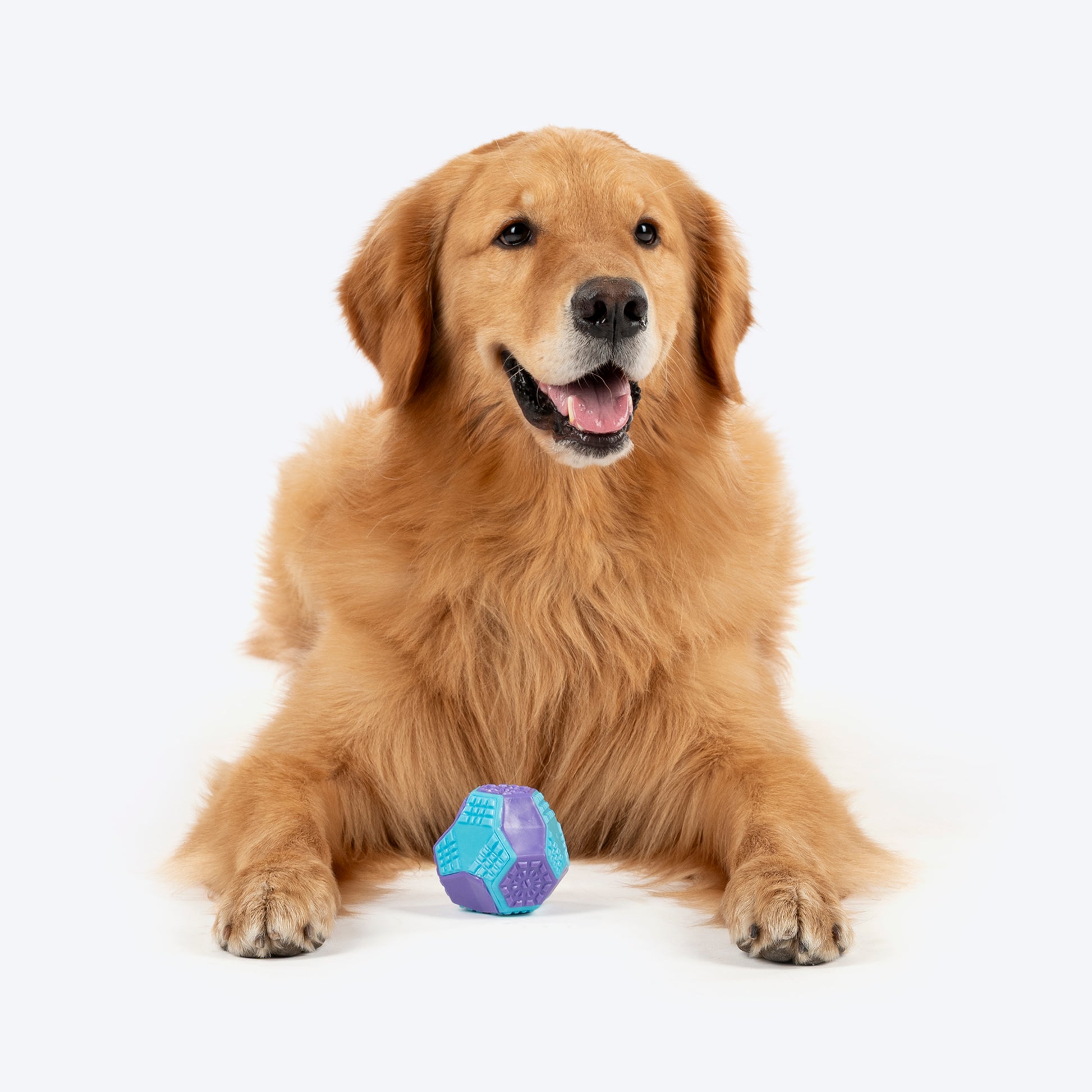 Dash Dog Grip & Go Squeaky Ball For Dog - Purple & Blue - Heads Up For Tails