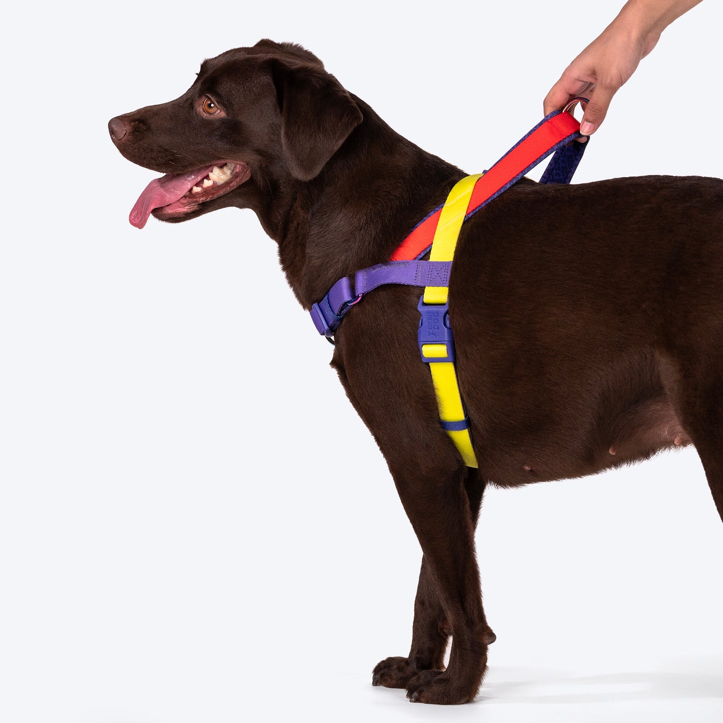 Dash Dog On-The-Go Harness For Dog - Red - Heads Up For Tails