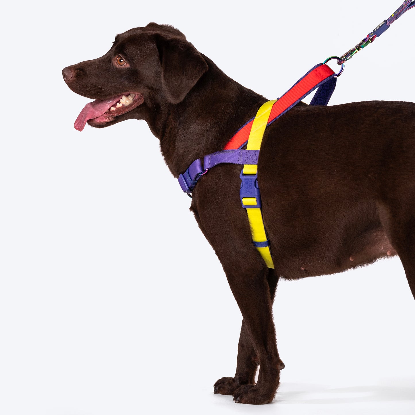Dash Dog On-The-Go Harness For Dog - Red - Heads Up For Tails