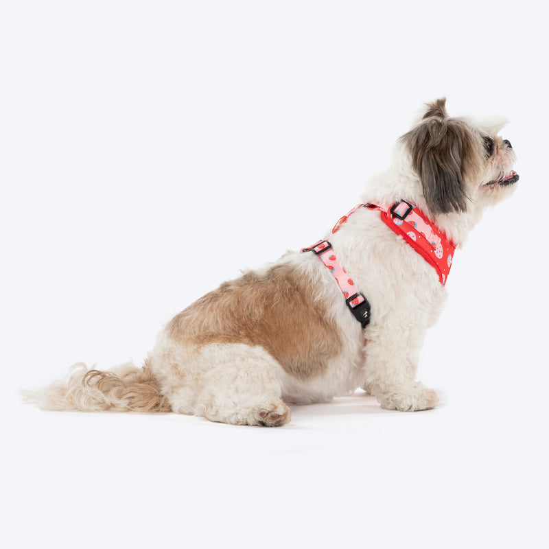 HUFT Berry Bliss Adjustable Harness For Dog - Red - Heads Up For Tails