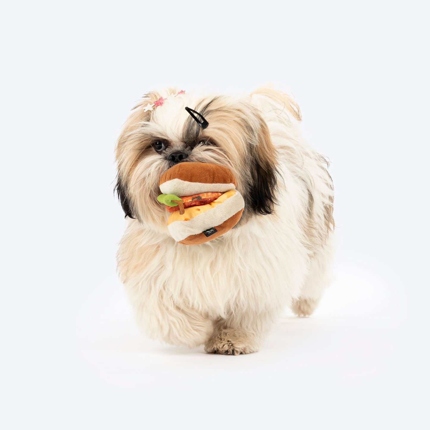HUFT Pyaar Ka Pawmise Pack - Pet Rakhi, Vada Paw Toy, Goat Milk Cookies - Heads Up For Tails