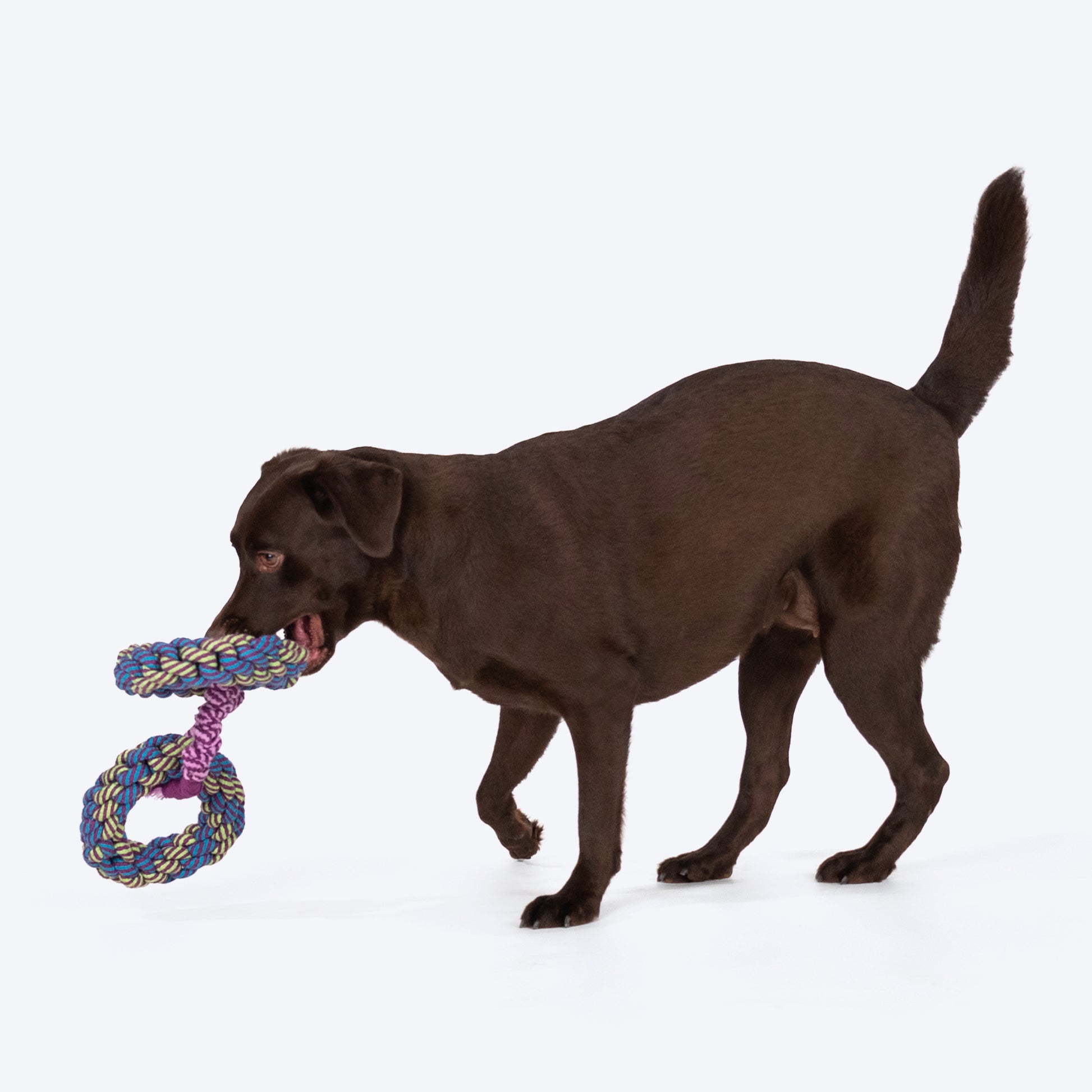 Dash Dog Double Donut Bungee Rope Toy For Dog - Blue - Heads Up For Tails