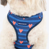 HUFT Striped Love Adjustable Harness For Dog - Navy - Heads Up For Tails