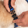 HUFT Striped Love Adjustable Harness For Dog - Navy - Heads Up For Tails