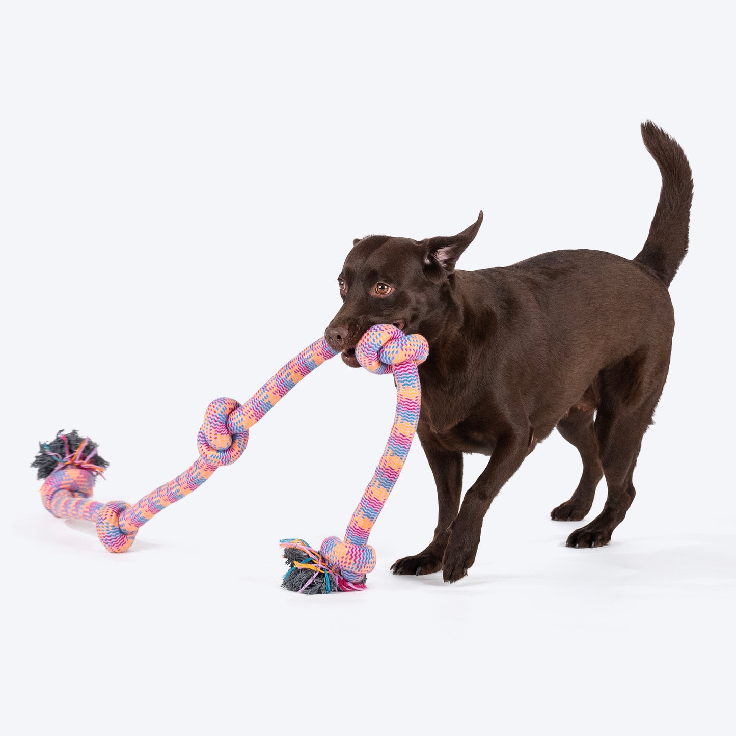 Dash Dog Knotty By Nature Rope Toy For Dog - Pink - Heads Up For Tails
