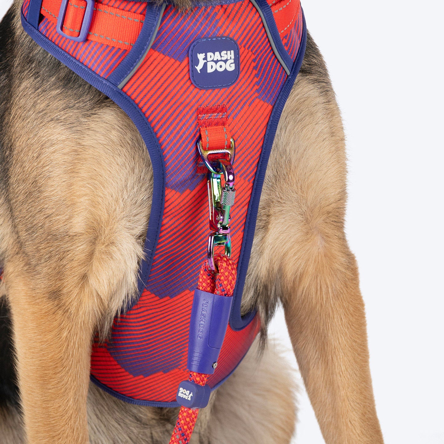 Dash Dog Sunset Chaser Rope Leash For Dog - Red - 6 ft - Heads Up For Tails