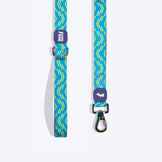 Dash Dog Vector Dual Handle Leash For Dog - Aqua Blue - Heads Up For Tails