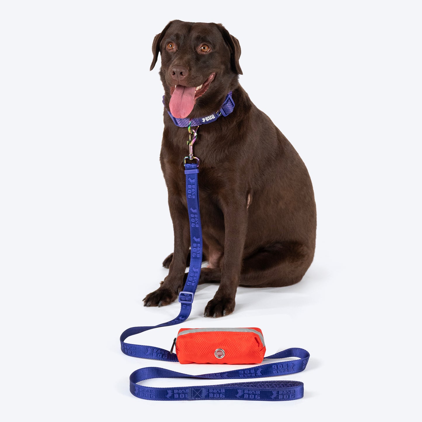 Dash Dog Oh-So-Handy Flexible Leash For Dog - Purple 7 ft - Heads Up For Tails