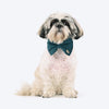HUFT Regal Luxe Collar With Bow Tie For Dog - Green - Heads Up For Tails