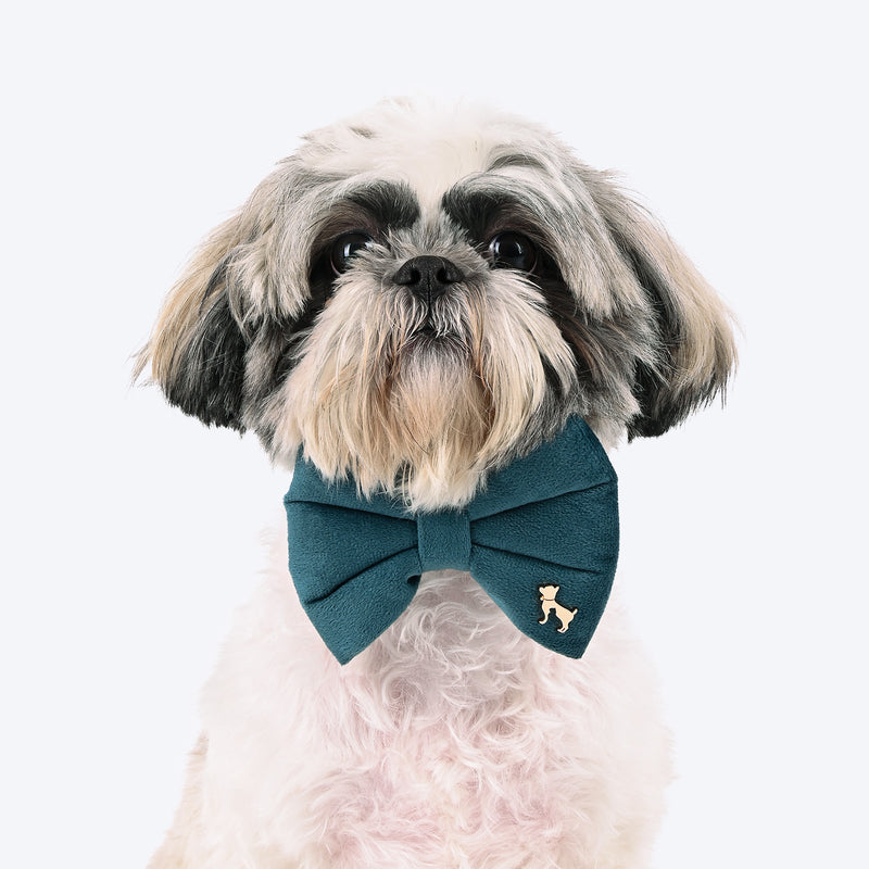 HUFT Regal Luxe Collar With Bow Tie For Dog - Green - Heads Up For Tails