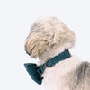 HUFT Regal Luxe Collar With Bow Tie For Dog - Green - Heads Up For Tails