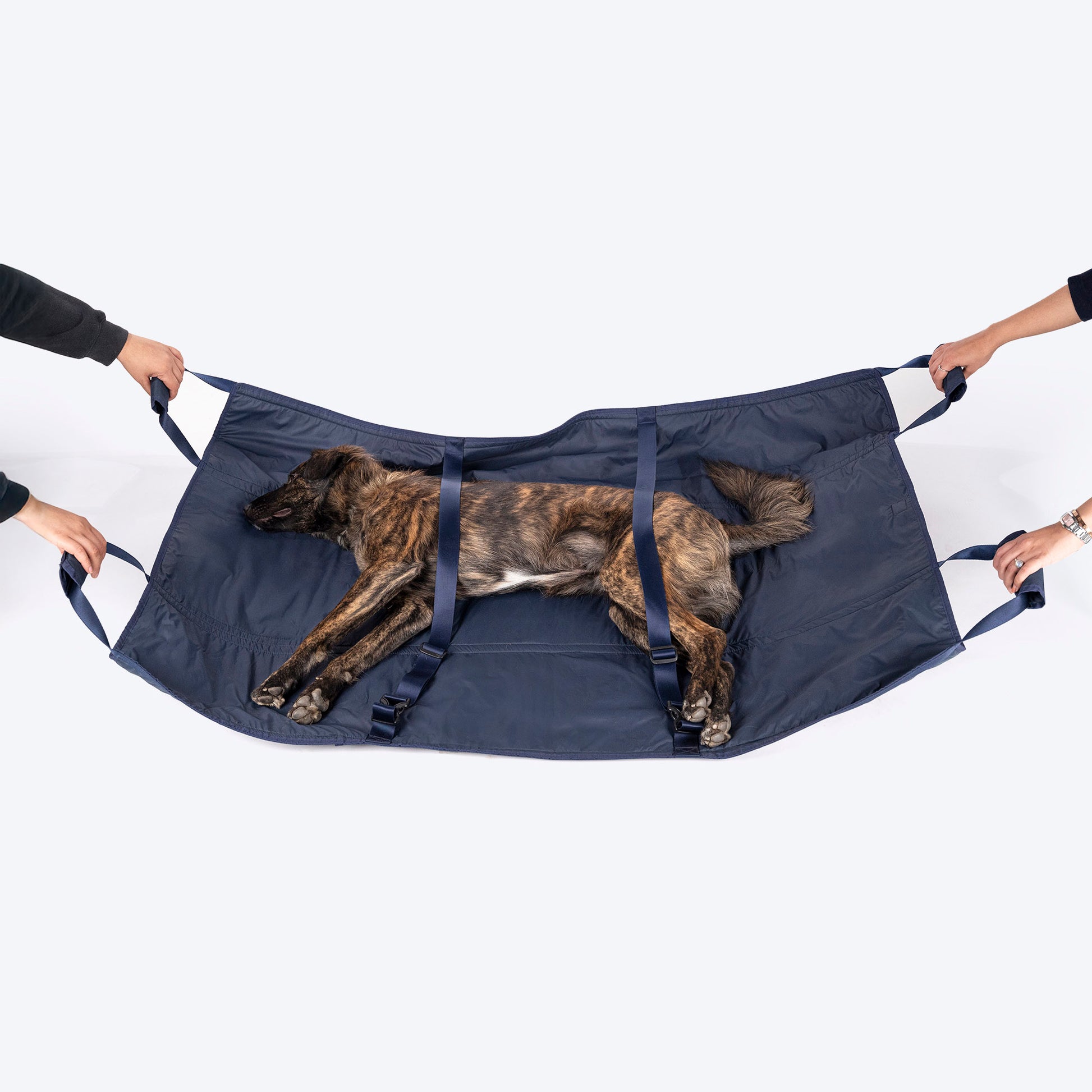 HUFT Trooper Stretcher For Dog - Navy Blue - Heads Up For Tails