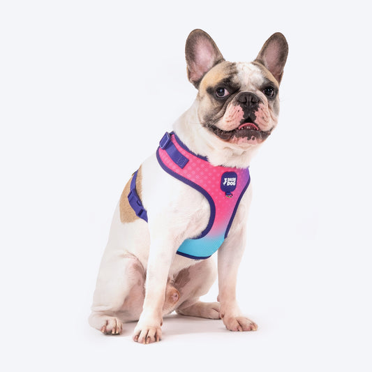 Dash Dog Flow Easy Walk Harness - Pink & Aqua Blue