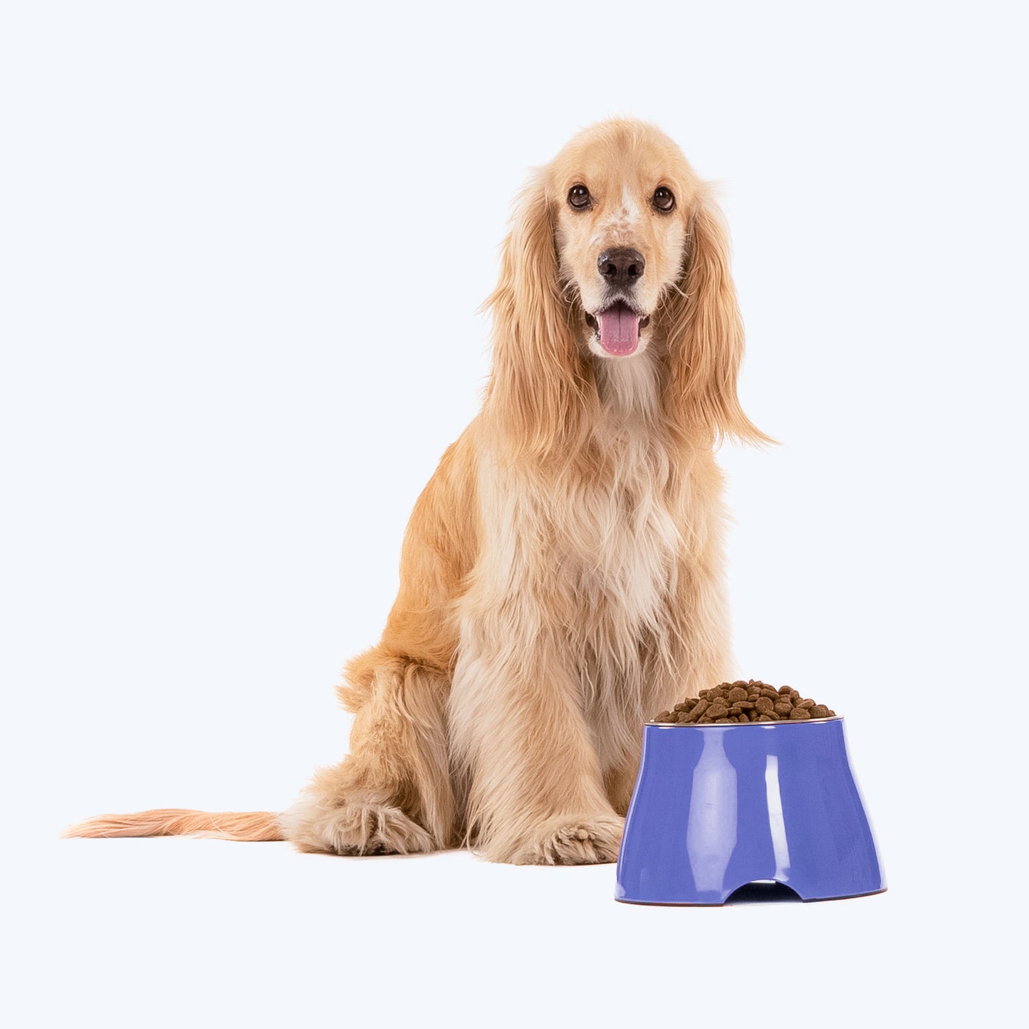 HUFT Elevated Dog Bowl €“ Blue - Heads Up For Tails