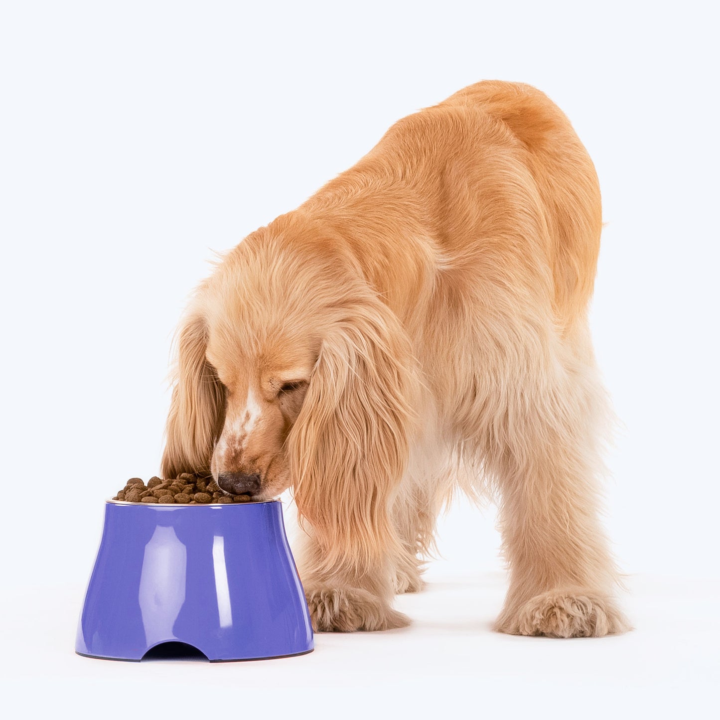HUFT Elevated Dog Bowl €“ Blue - Heads Up For Tails
