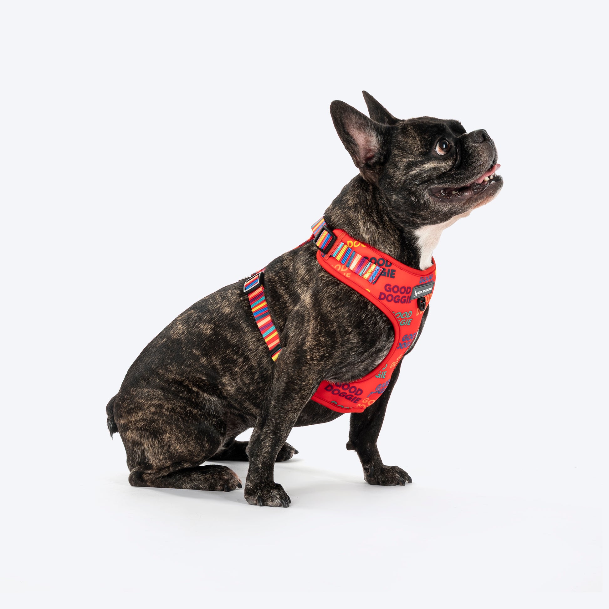 HUFT Good Doggie Adjustable Harness For Dog - Multicolor - Heads Up For Tails