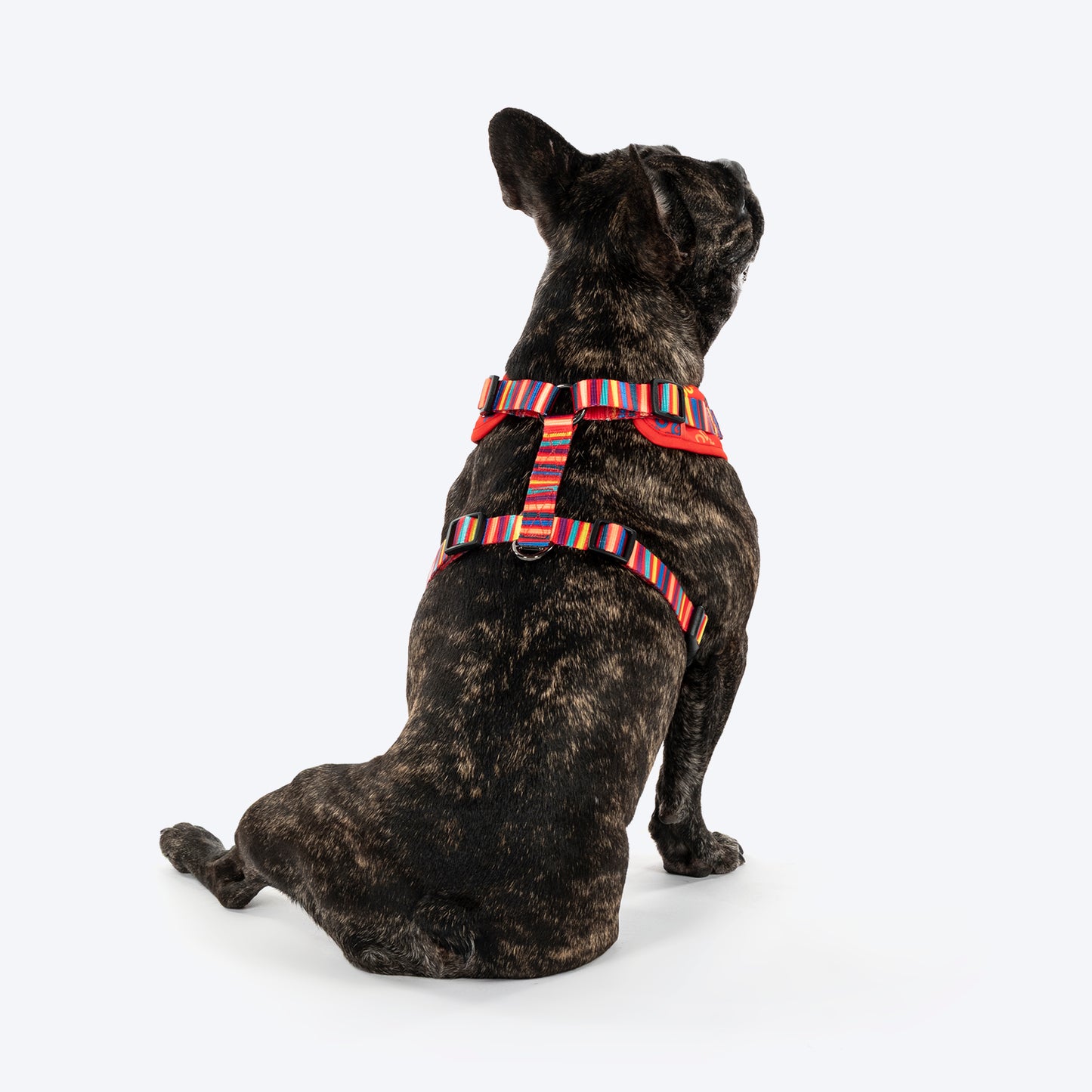 HUFT Good Doggie Adjustable Harness For Dog - Multicolor - Heads Up For Tails