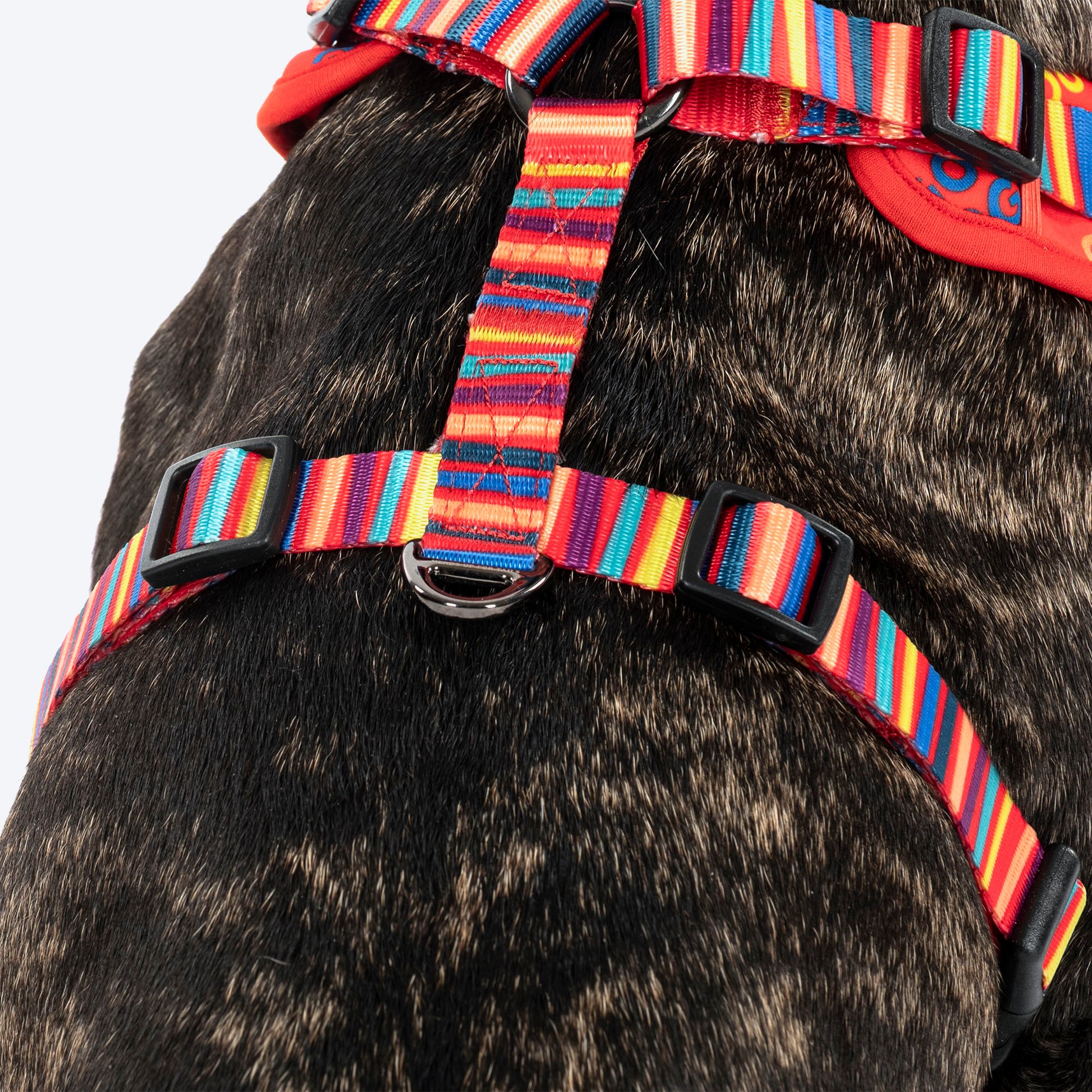 HUFT Good Doggie Adjustable Harness For Dog - Multicolor - Heads Up For Tails