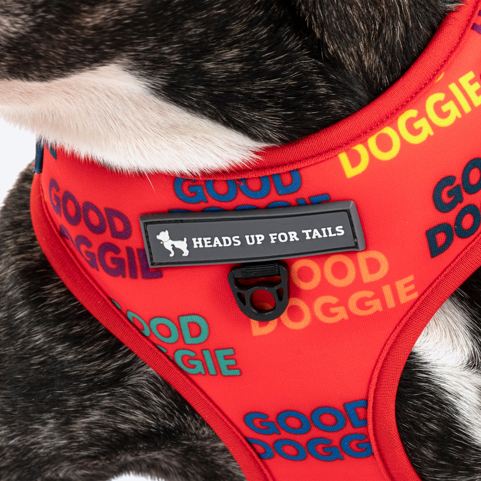 HUFT Good Doggie Adjustable Harness For Dog - Multicolor - Heads Up For Tails