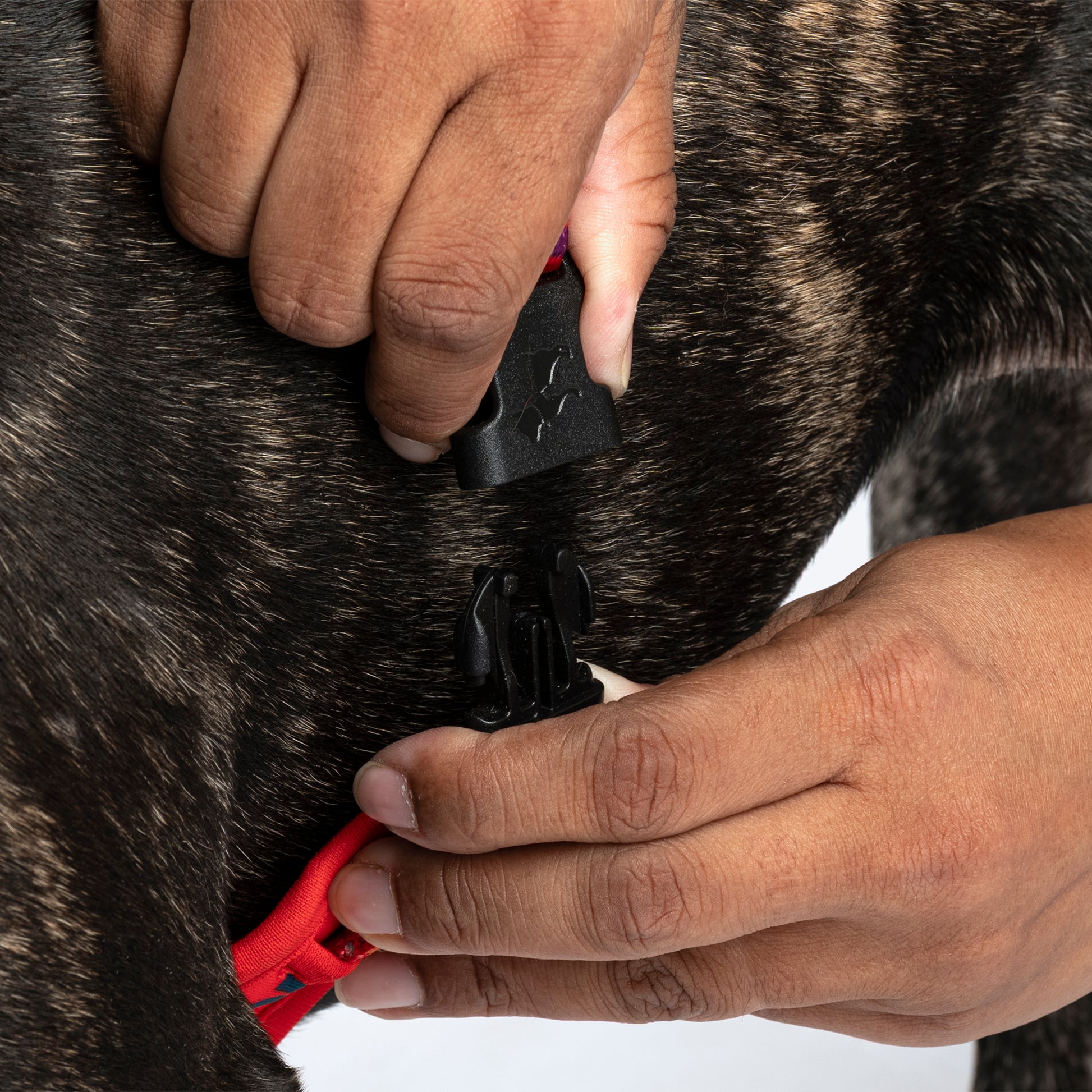 HUFT Good Doggie Adjustable Harness For Dog - Multicolor - Heads Up For Tails