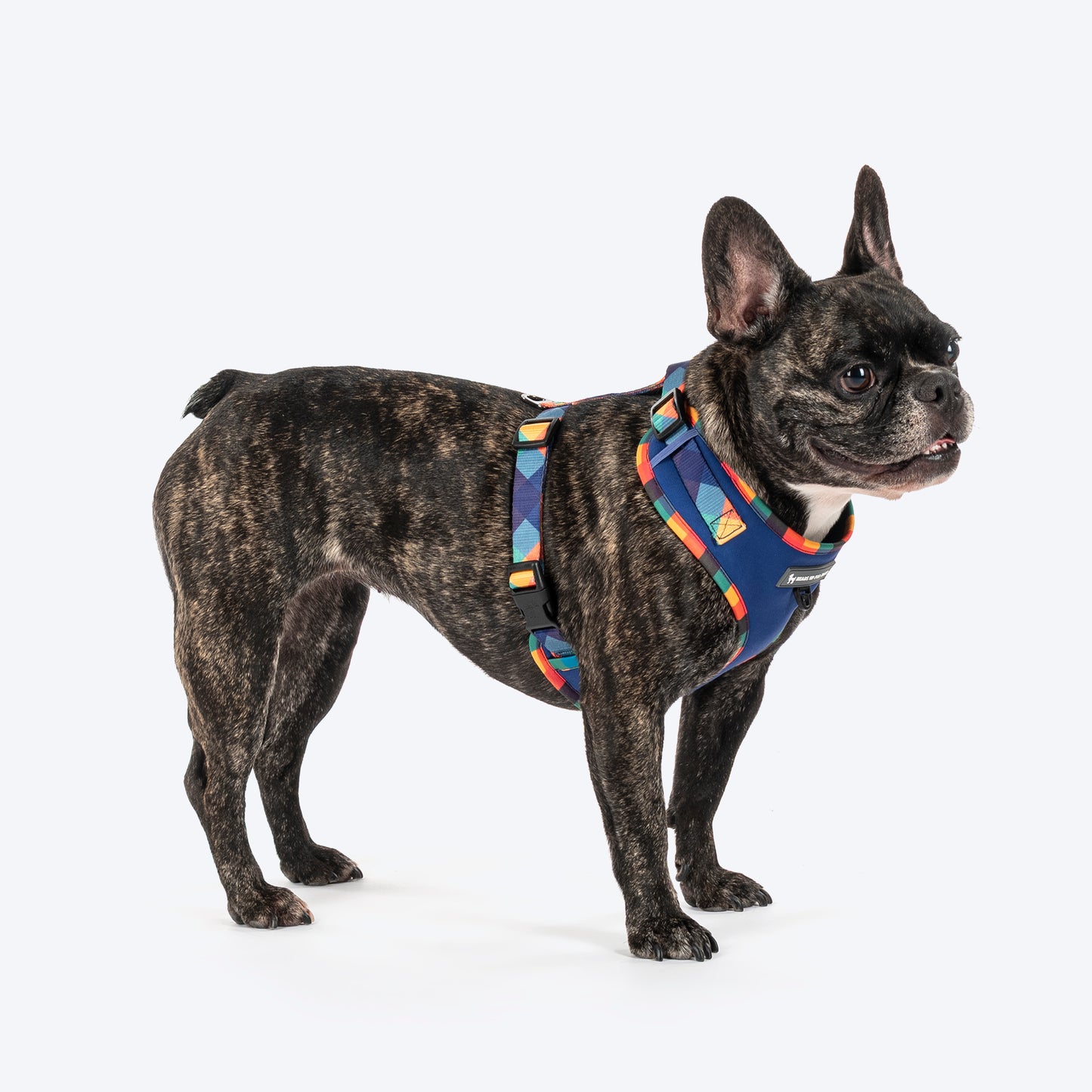 HUFT Technicolor Tartan Adjustable Harness For Dog - Multicolor - Heads Up For Tails