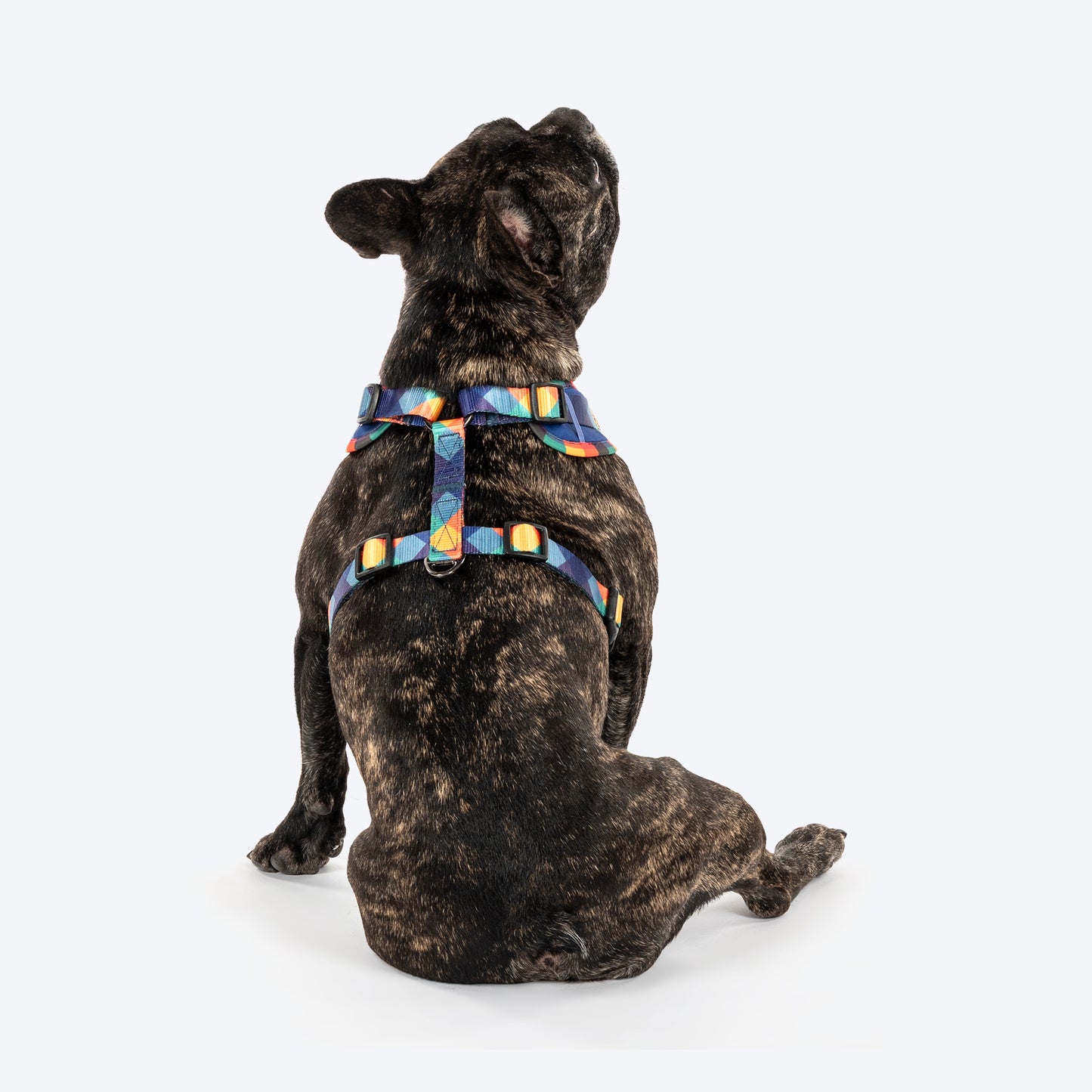 HUFT Technicolor Tartan Adjustable Harness For Dog - Multicolor - Heads Up For Tails