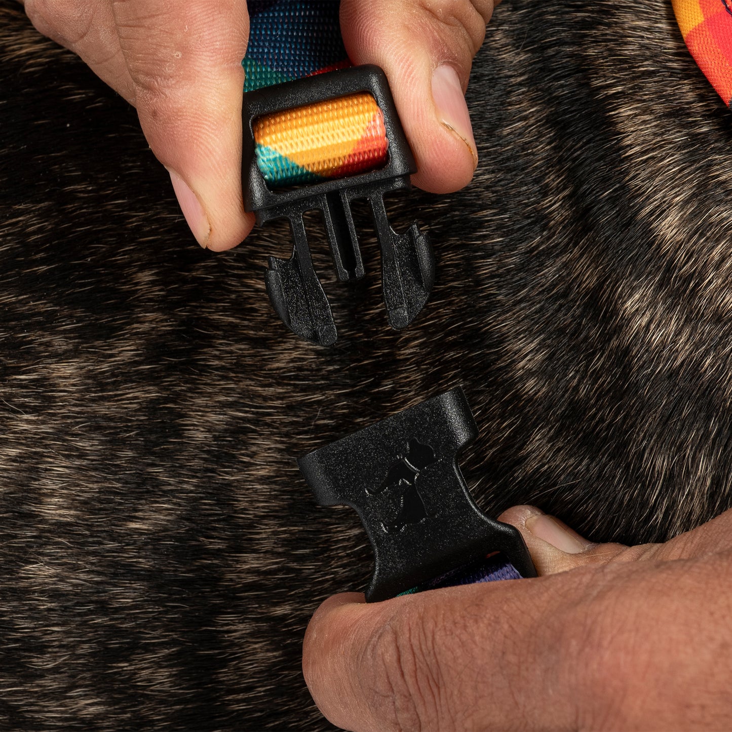 HUFT Technicolor Tartan Adjustable Harness For Dog - Multicolor - Heads Up For Tails