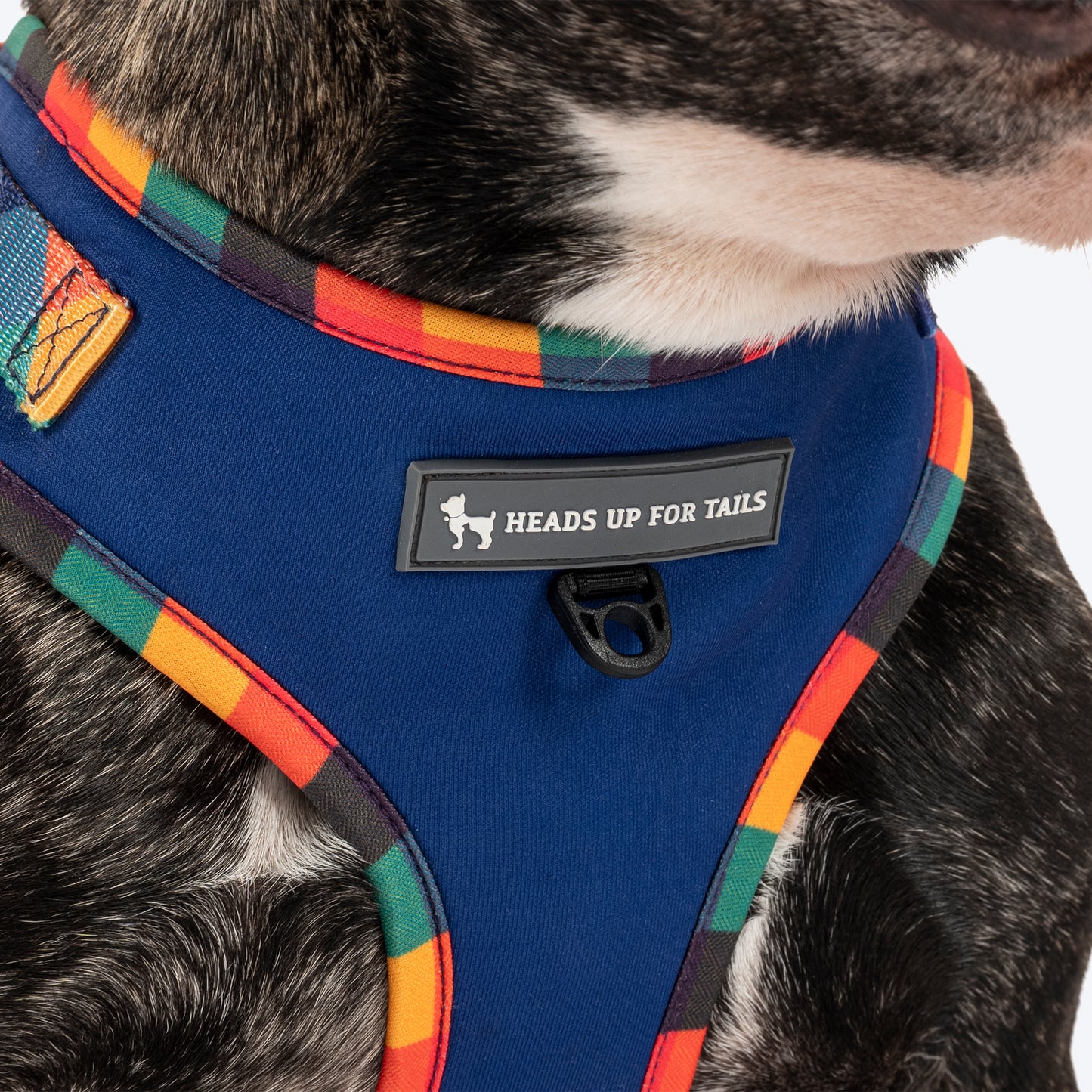 HUFT Technicolor Tartan Adjustable Harness For Dog - Multicolor - Heads Up For Tails