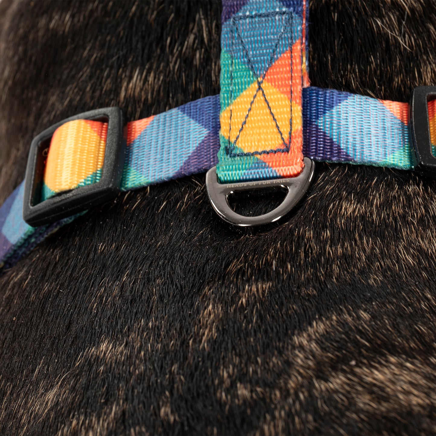 HUFT Technicolor Tartan Adjustable Harness For Dog - Multicolor - Heads Up For Tails