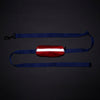 Dash Dog Oh-So-Handy Flexible Leash For Dog - Purple 7 ft - Heads Up For Tails