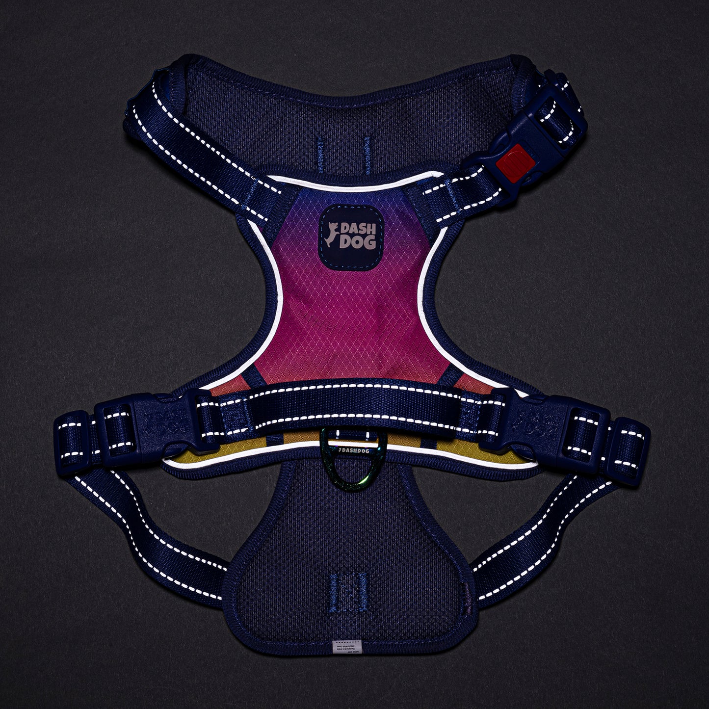 Dash Dog Flow Walk-Along Harness For Dog - Pink & Purple - Heads Up For Tails