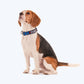 HUFT Personalised Basics Dog Collar - Cobalt Blue - Heads Up For Tails