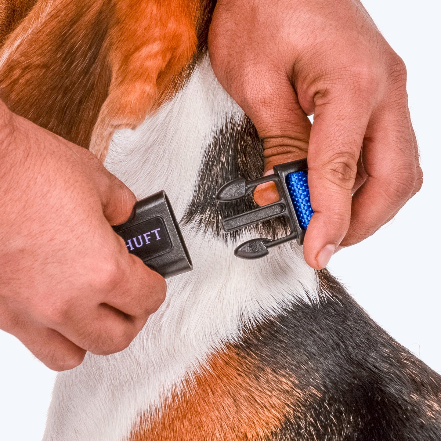 HUFT Personalised Basics Dog Collar - Cobalt Blue - Heads Up For Tails