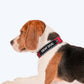 HUFT Trooper Walking Aid Leash & Collar Insert (Deaf Dog) - Heads Up For Tails
