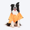 HUFT Magical Mist Raincoat With Harness Opening For Dog - Orange - Heads Up For Tails