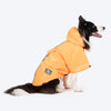 HUFT Magical Mist Raincoat With Harness Opening For Dog - Orange - Heads Up For Tails