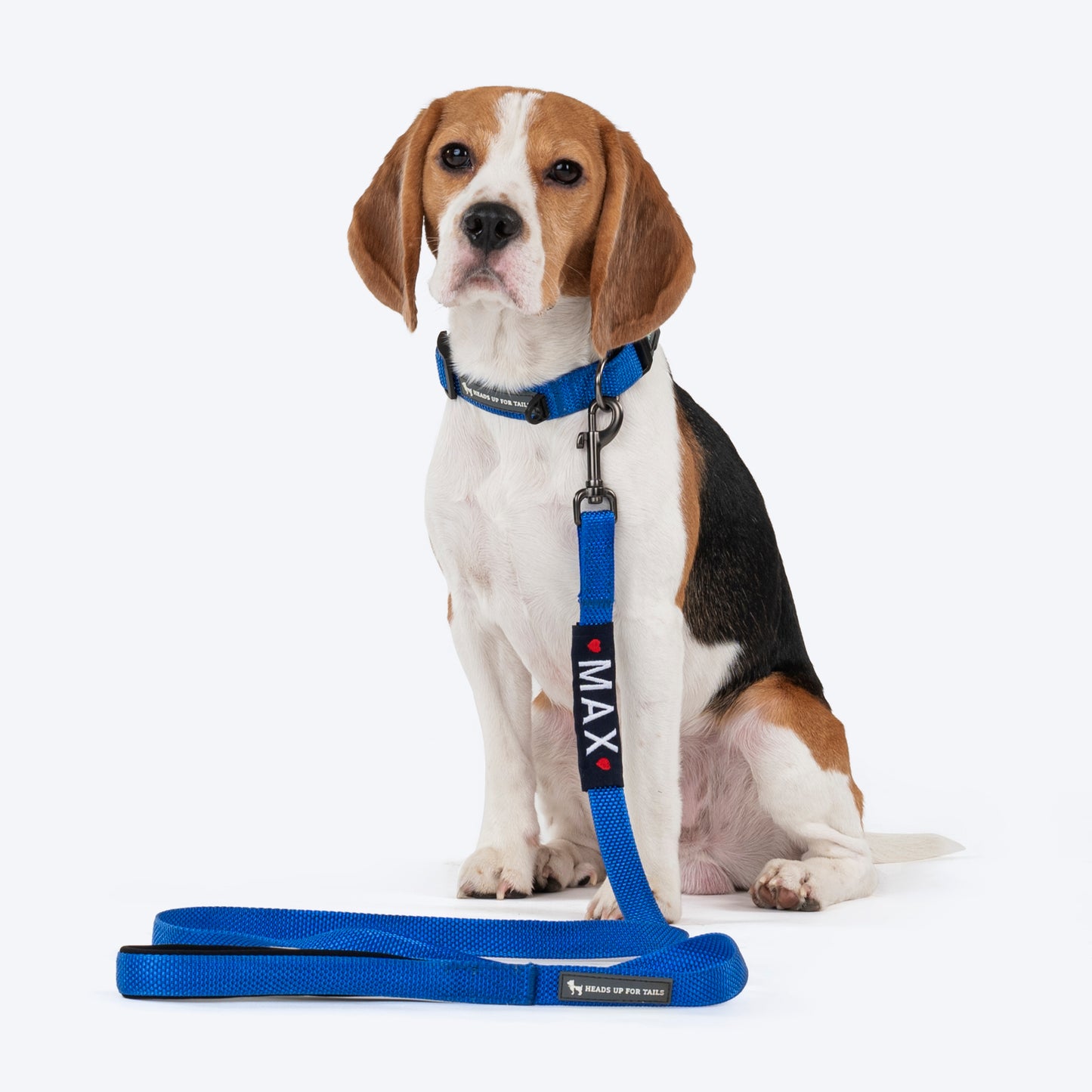 HUFT Personalised Basics Leash For Dog - Cobalt Blue - Heads Up For Tails