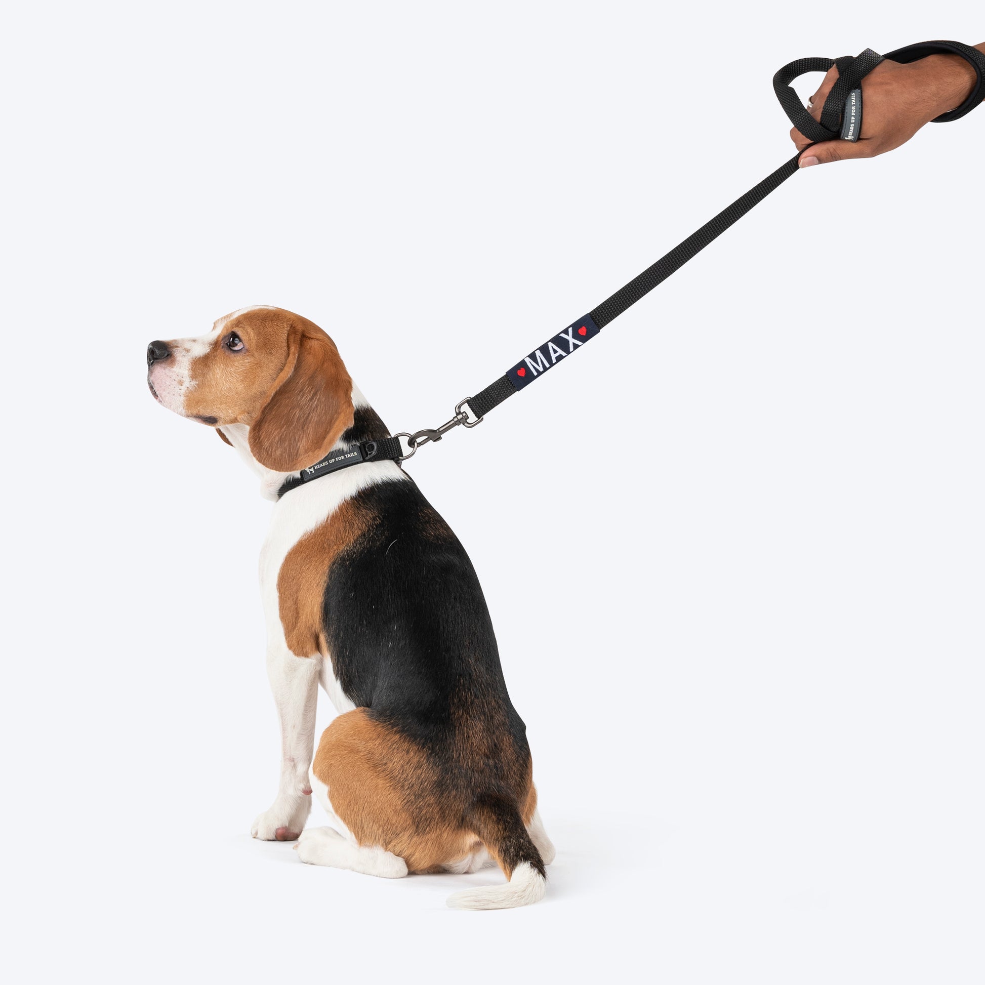 HUFT Personalised Basics Leash For Dog - Classic Black - Heads Up For Tails
