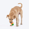 HUFT Chewtastic Fill-N-Fun Carrot Chew Toy For Dog - Orange & Green - Heads Up For Tails