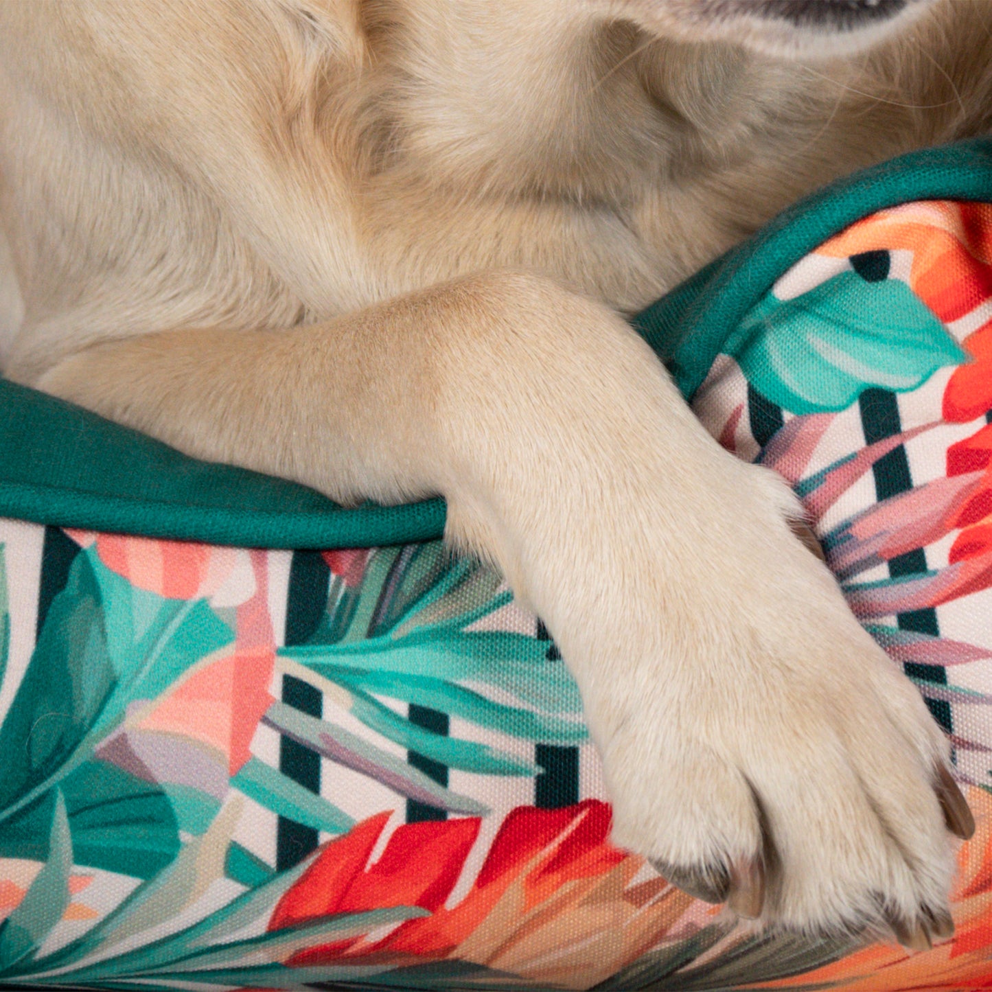 HUFT Tropical Bliss Personalised Lounger Bed For Dog - Multicolor - Heads Up For Tails