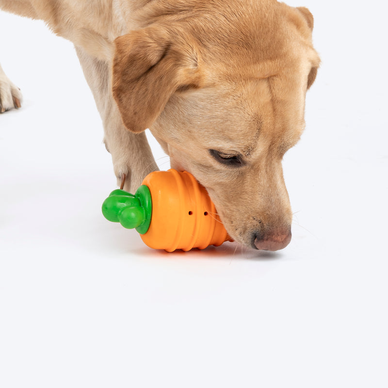 HUFT Chewtastic Fill-N-Fun Carrot Chew Toy For Dog - Orange & Green - Heads Up For Tails