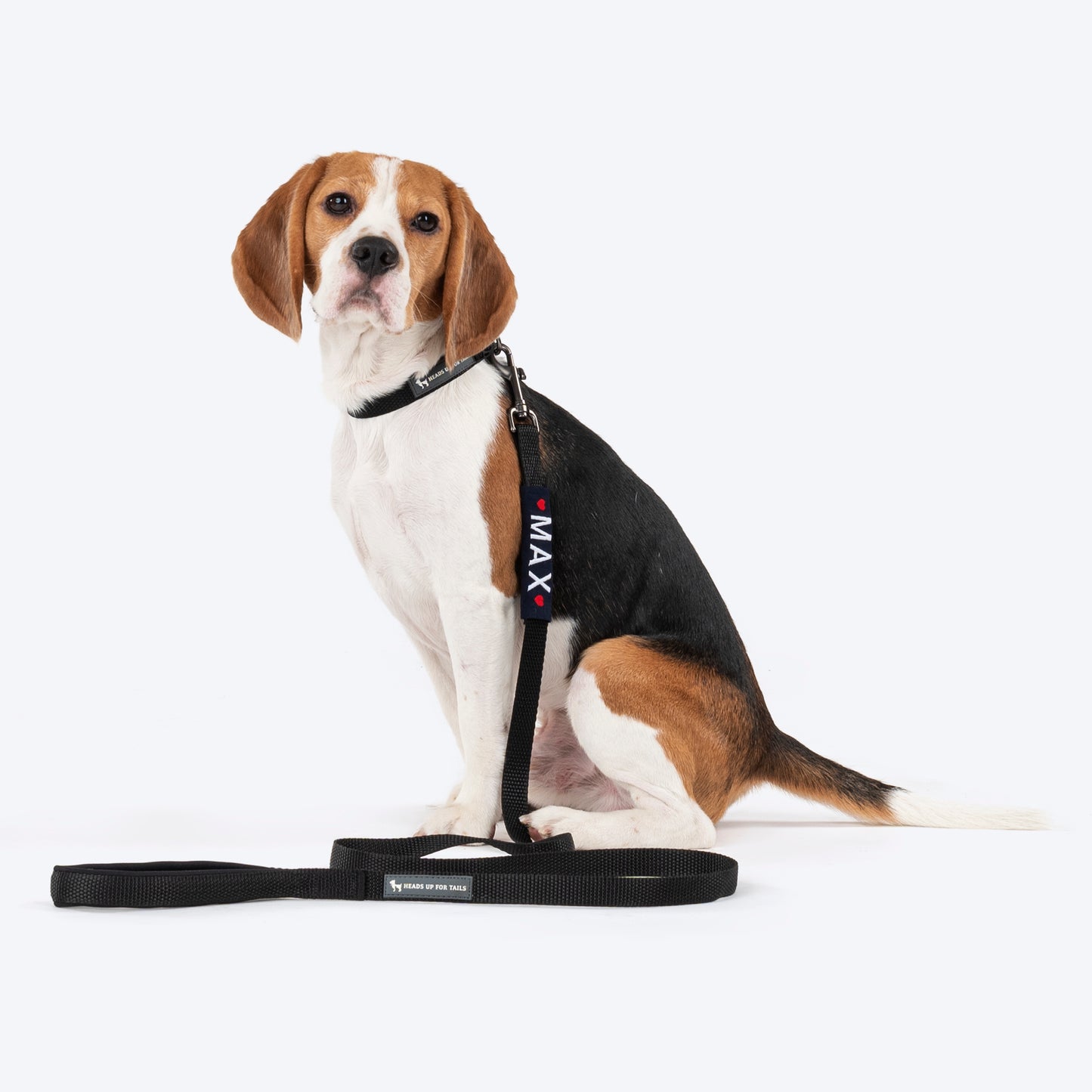 HUFT Personalised Basics Leash For Dog - Classic Black - Heads Up For Tails